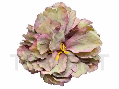 PEONIA WYROBOWA